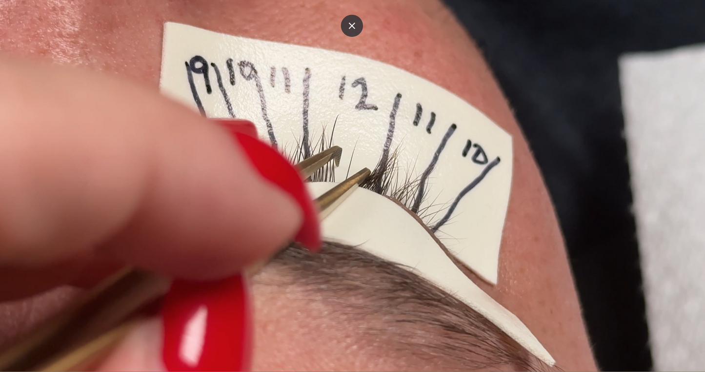 Online Beginner Lash Course