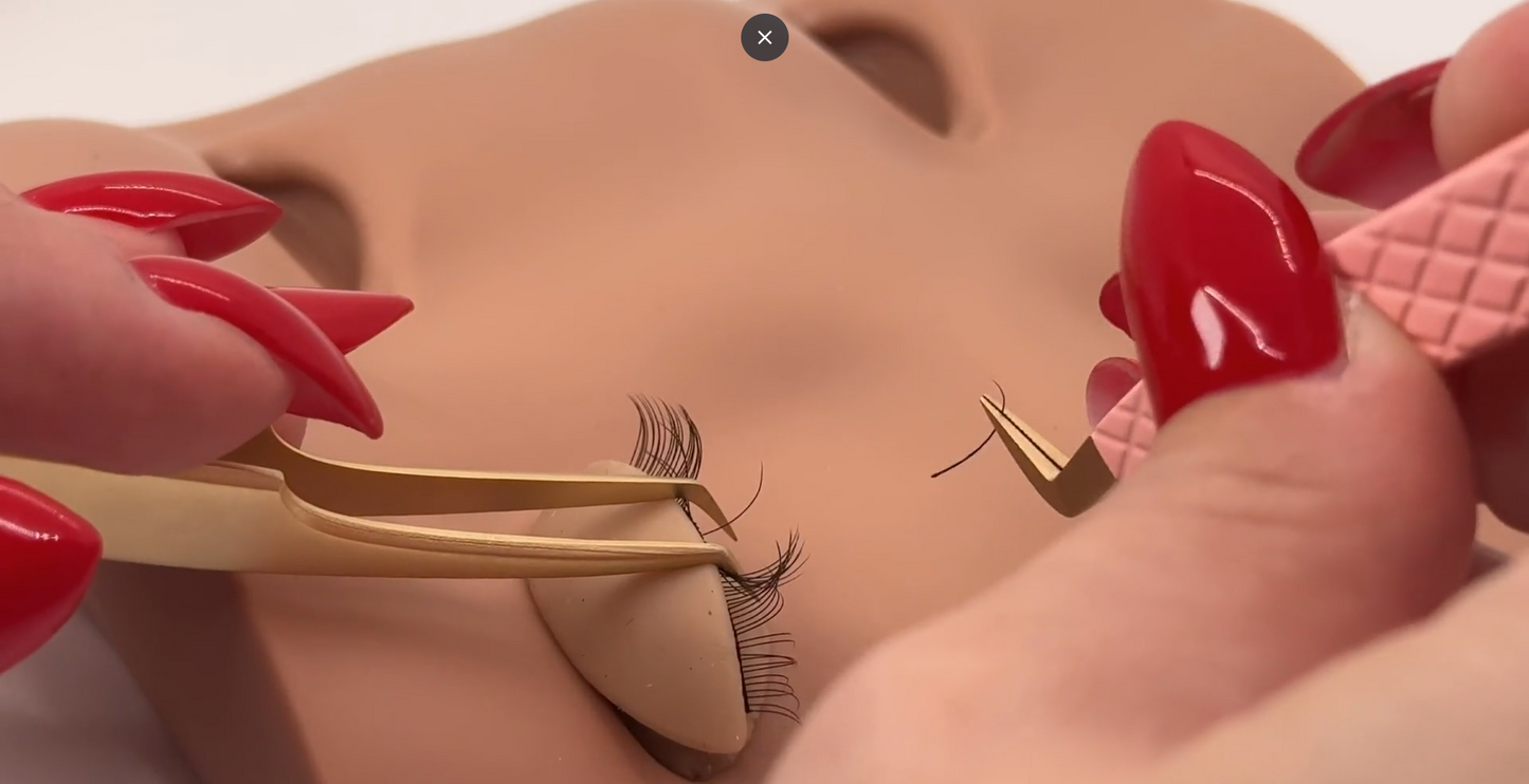 Online Beginner Lash Course
