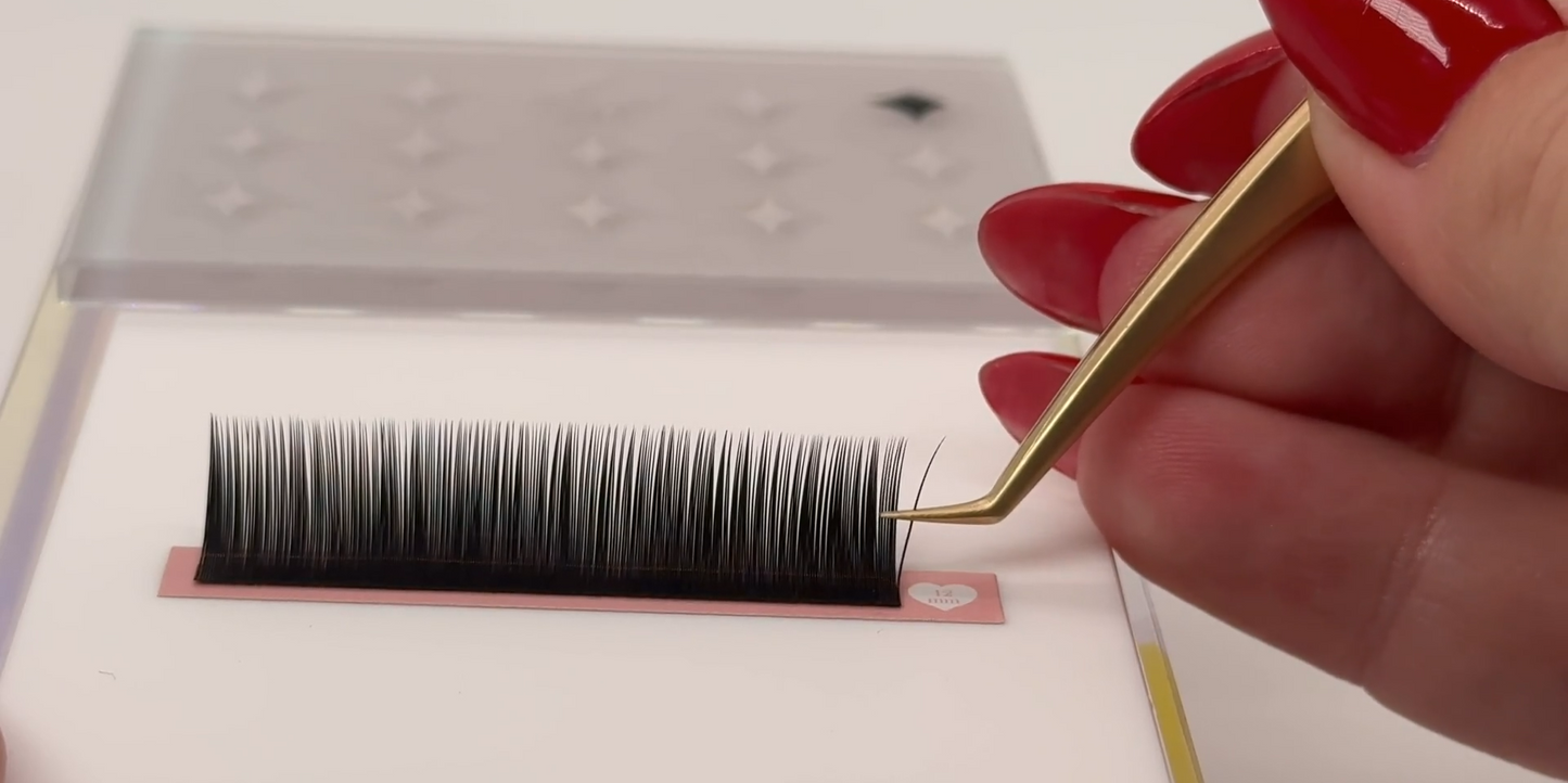 Online Beginner Lash Course